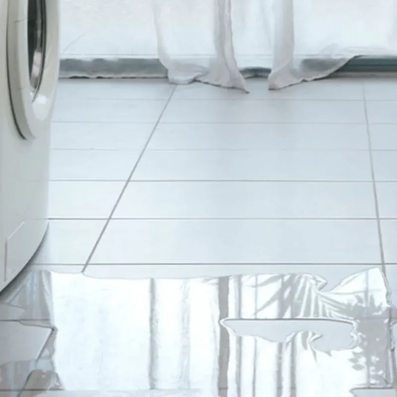 Appliance Leak Cleanup in Kittitas County, WA