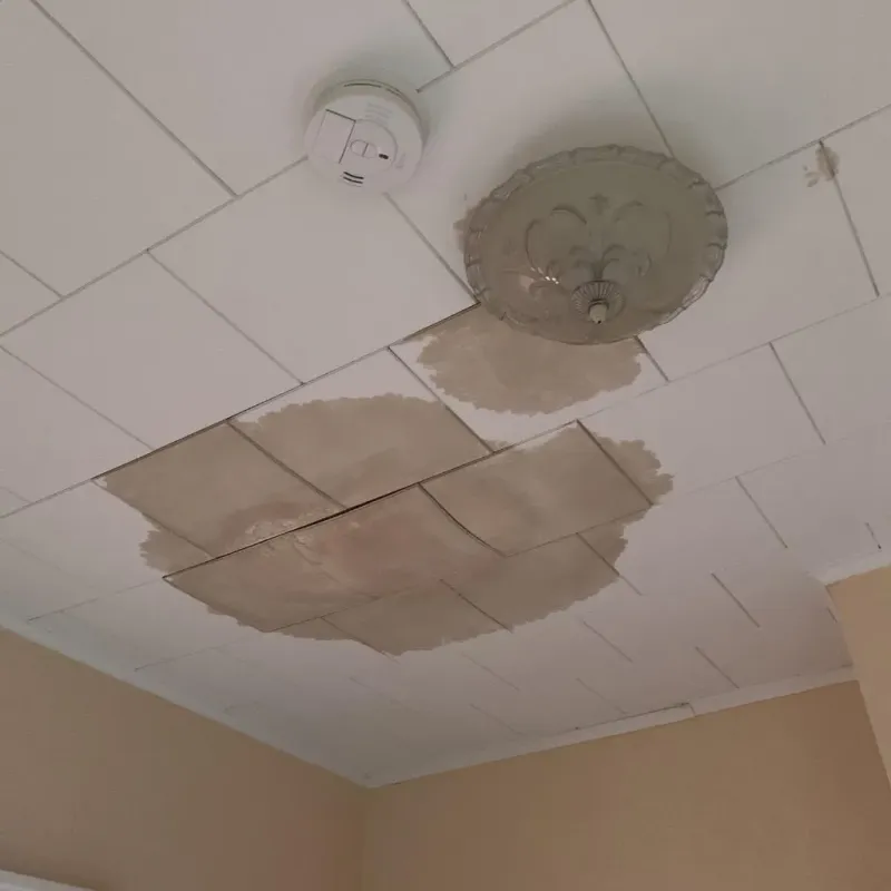 Ceiling Water Damage Repair in Kittitas County, WA