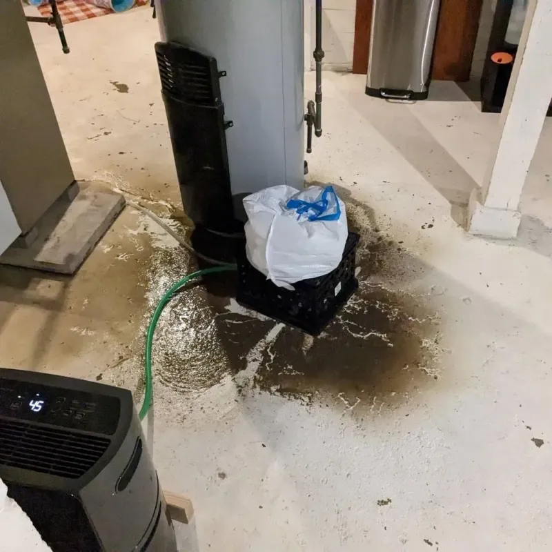 Sewage Backup Cleanup Service in Kittitas County, WA
